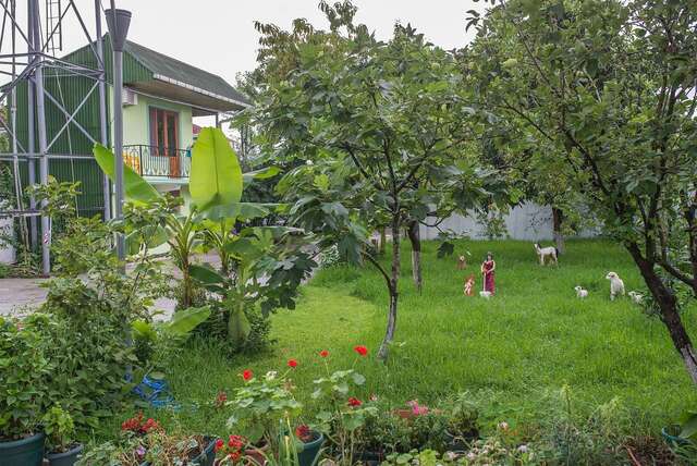 Отель Hotel Chveni Ezo Кобулети-26